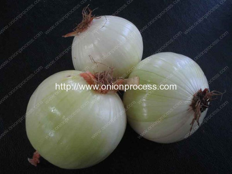Penumatic-Blow-Type-Onion-Peeling-Machine