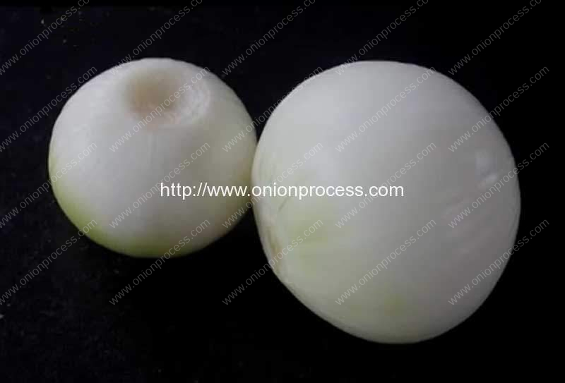 onion-concave-cutting-and-peeling-machine-product