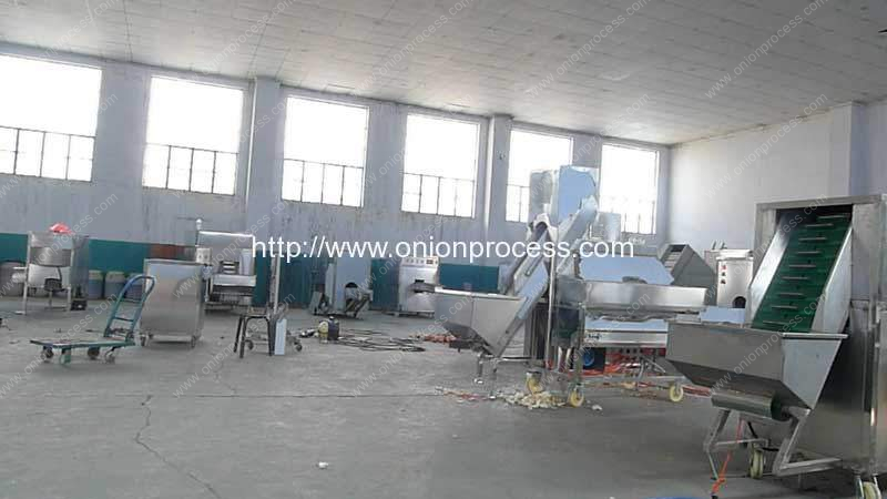 Onion-Peeling-Slicing-Machine-Manufacture-Factory-Visit