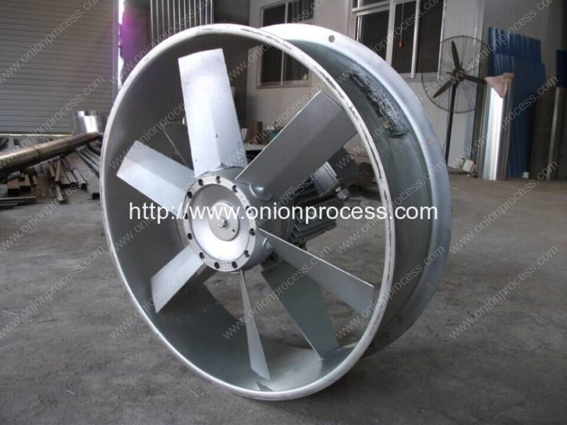 Onion Drying House Dehumidification Fan