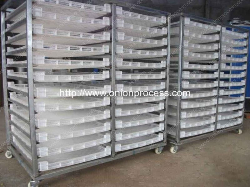 Onion-Hot-Air-Drying-House-for-Large-Quantity-Onion-Dryer-Process