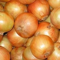 Onion Storage Tecnology