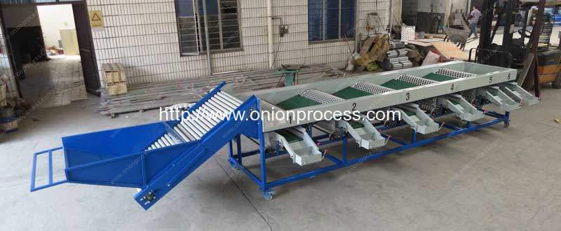Automatic Onion Sorting Machine with Brush Cleaning Function (4)