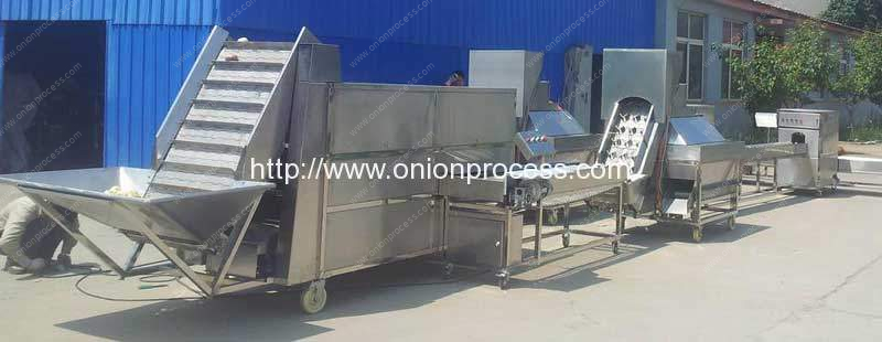 Full-Automatic-Onion-Washing-Peeling-and-Root-Cutting-Line-for-Sale