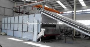 Full Automatic Multi-Layer Onion Drying Oven