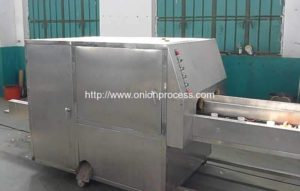 No Damage Onion Peeling and Root Cutting Machine for Spain Customer