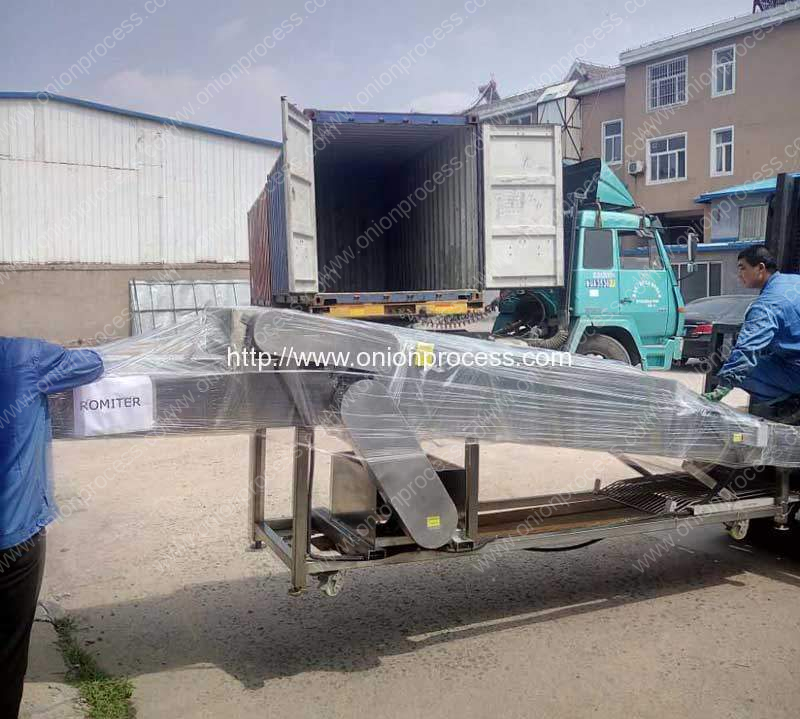 Onion-Brush-Dry-Cleaning-Machine-Delivery-for-Brasil-Customer