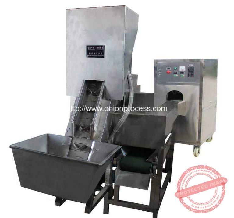 Automatic Onion Peeling and Root Cutting Machine for South Africa