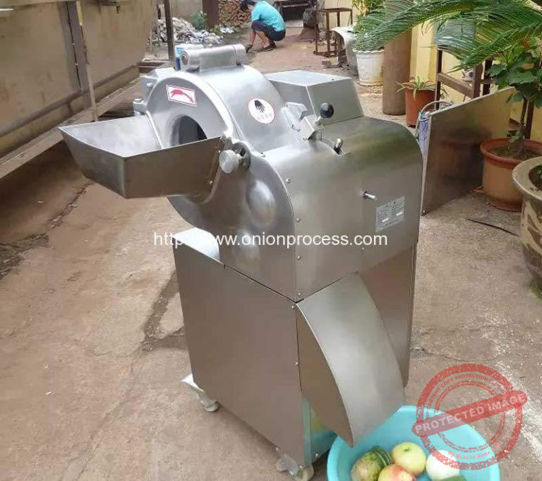 Automatic Onion Cube Shape Dicer Cutting Machine for India Customer