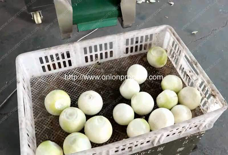 Peeled-and-Root-Cutted-Onion
