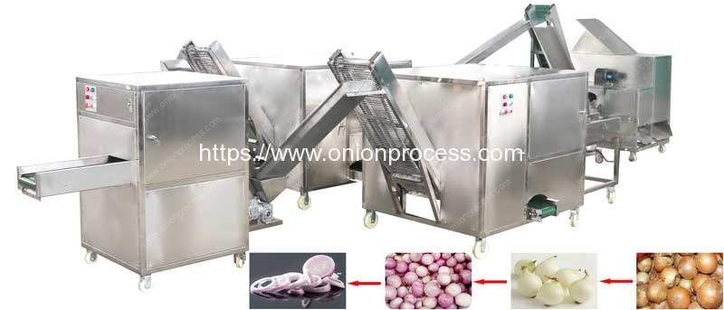 Source Hot Sale Semi Automatic Onion Root Cutting Machine Onion Peeler Onion  Root Cutter Machine on m.