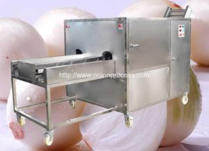 Double Belt Onion Root Cutting Machine for Sale