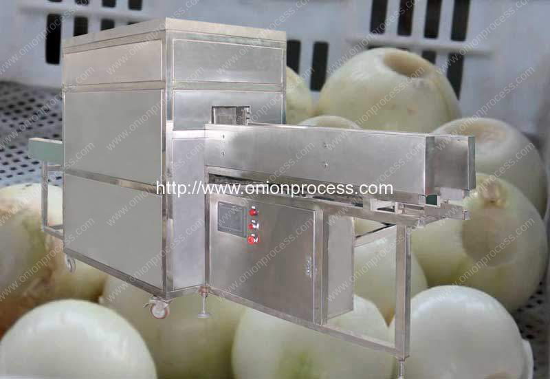 Automatic Onion Processing Line for Root Cutting and Peeling