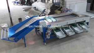 Roller Rod Type Shallot Size Grading Machine