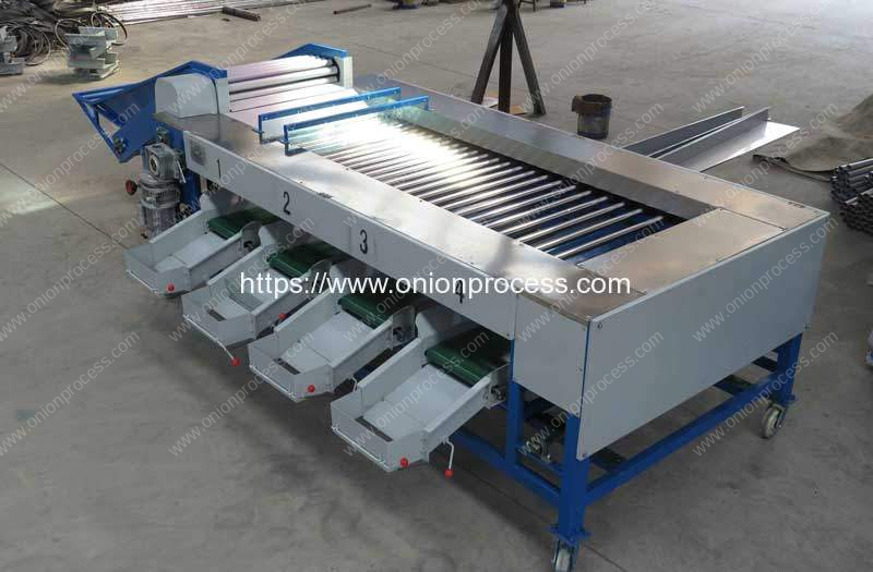 Automatic-Rolling-Rod-Type-Onion-Shallot-Size-Sorting-Machine-for-Sale