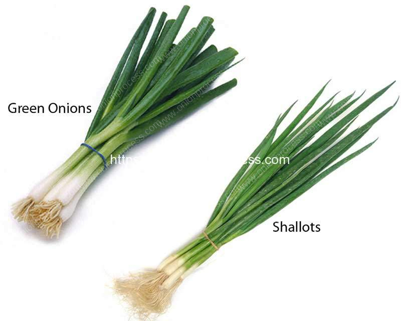 The difference between shallots, green onions, scallions and