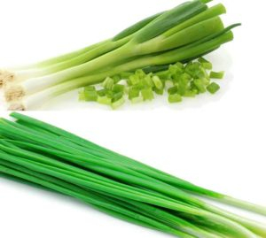 What are Difference of Spring Onion and Green Onion
