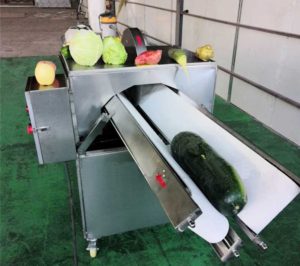 Automatic Onion Half Cutting Machine