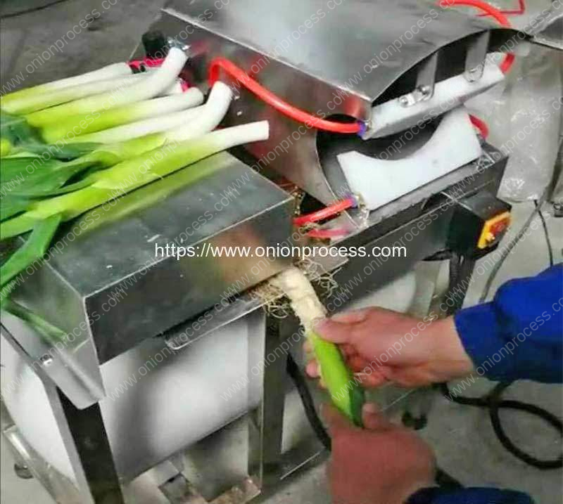 Onion-Spring-Root-Cutting-Machine