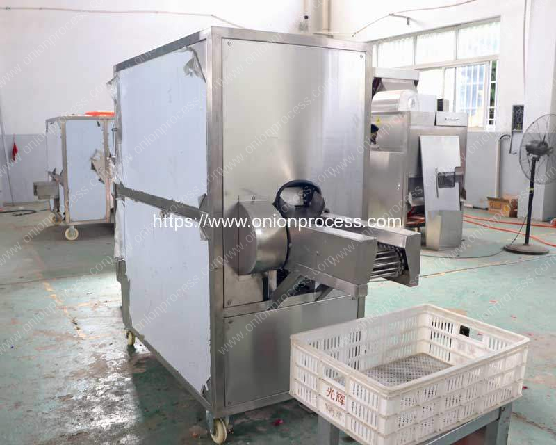 Automatic-Onion-Root-Concave-Cutting-and-Peeling-Machine-for-Macedonia