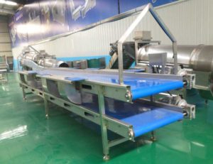 Double Layer Onion Selection Conveyor