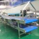 Double Layer Onion Selection Conveyor