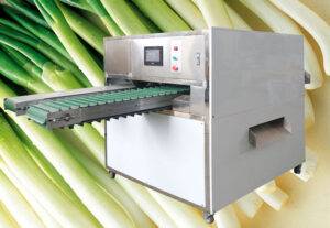 Full Automatic Green Onion Peeling and Root Cutting Machine Full Automatic Green Onion Peeling and Root Cutting Machine