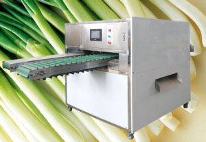 Full Automatic Green Onion Peeling and Root Cutting Machine