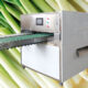 Full Automatic Green Onion Peeling and Root Cutting Machine