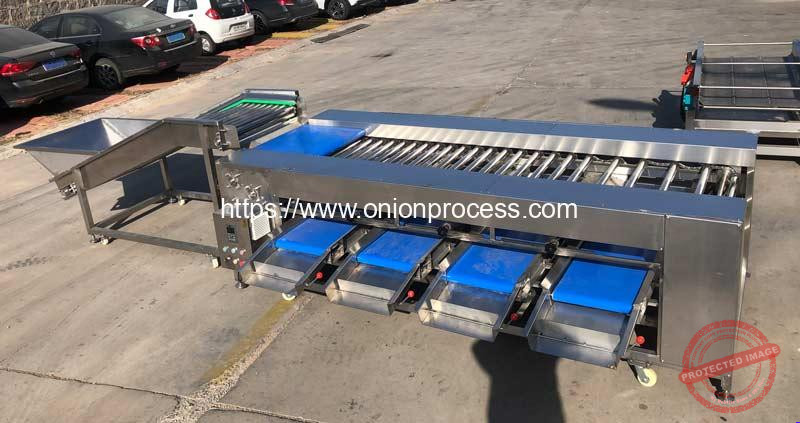Rolling-Rod-Type-Onion-Size-Grader-Machine